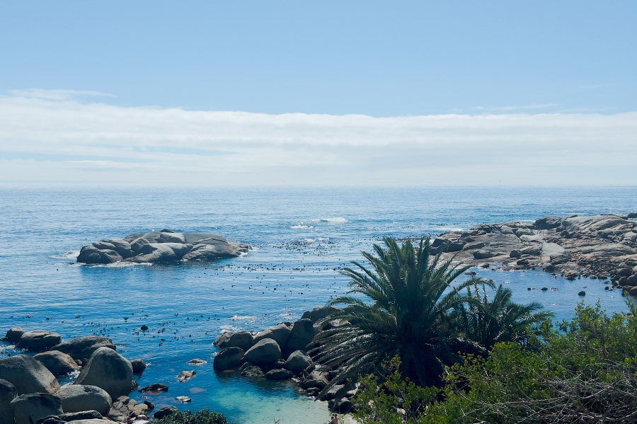 To Let 2 Bedroom Property for Rent in Clifton Western Cape